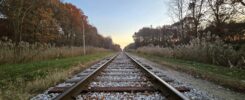 train tracks between tree lines and tall grasses at sunset