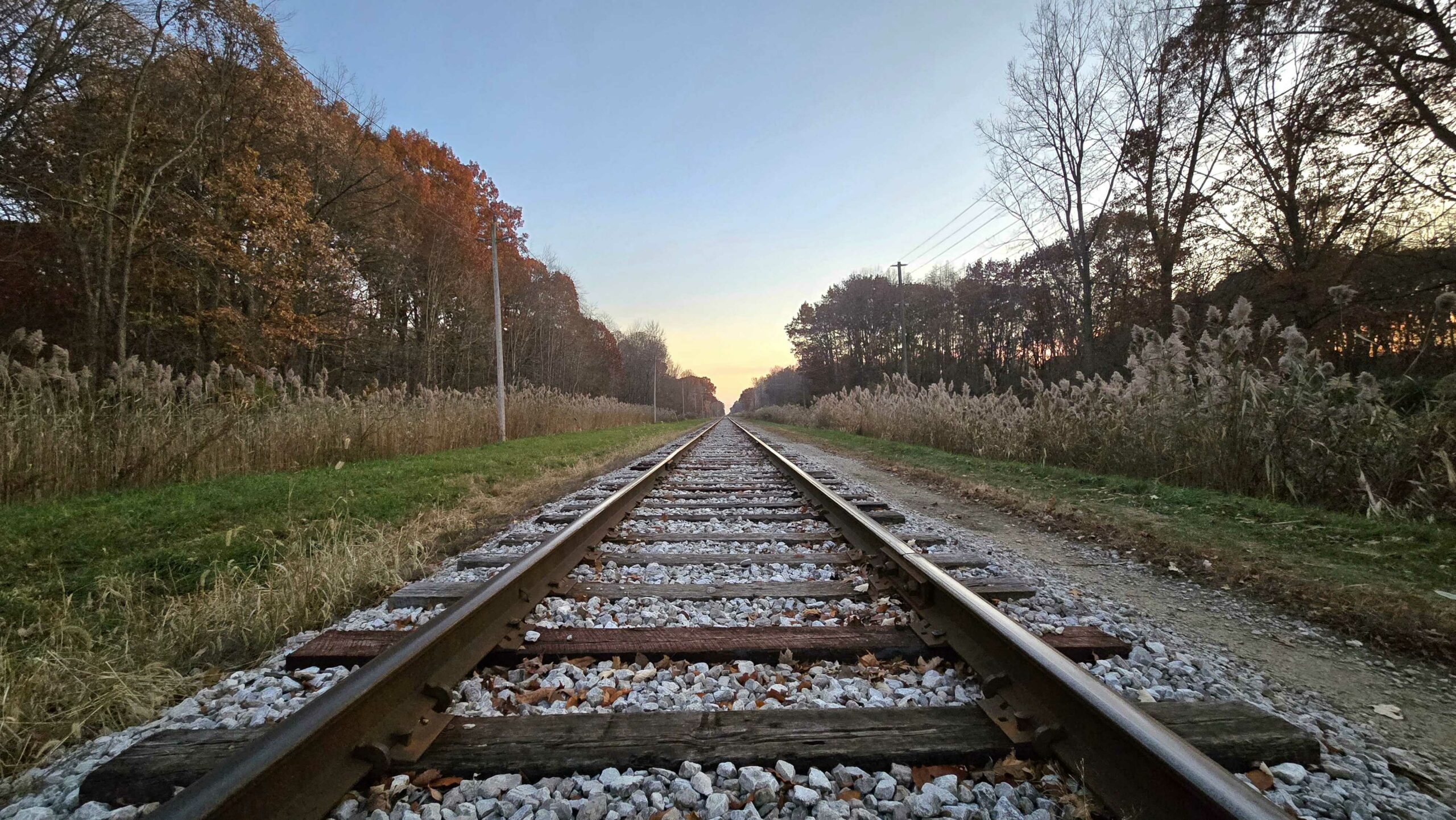 train tracks between tree lines and tall grasses at sunset